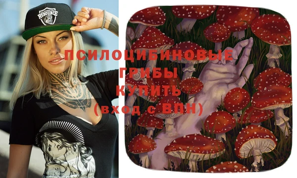 спиды Сосновый Бор