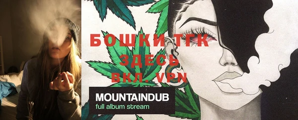 эйфоретик Снежногорск